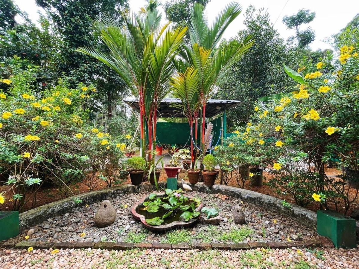 Kuttickattil Gardens Homestay Kottayam Εξωτερικό φωτογραφία